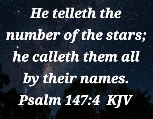 ed258132-7941-4f77-a8d3-95f94cb420f2