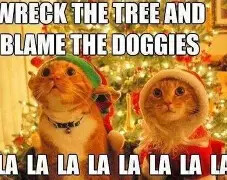 christmas cats