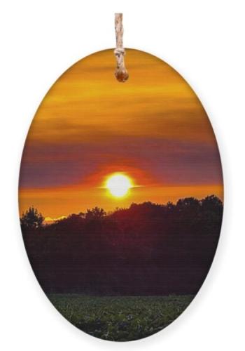 Screenshot_20251204_140641_Brave