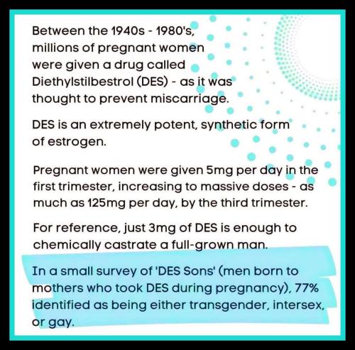 FB_IMG_1764598179301