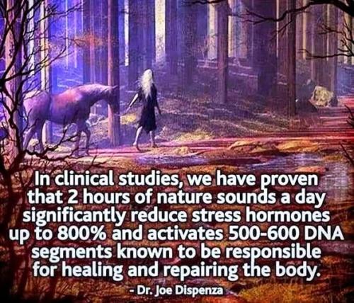 ,          ,  0424775766_746362