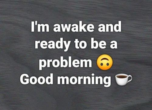 2b0876e2ef1c5bdf92d9878a34a1bee2