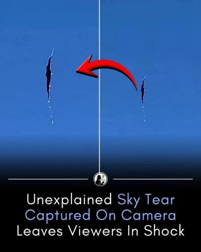 82c6be7f-76d8-4f02-822c-71ac3e5cf7ef