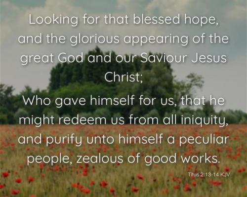 0db25998-9e16-4c0c-8428-251a486b91c4