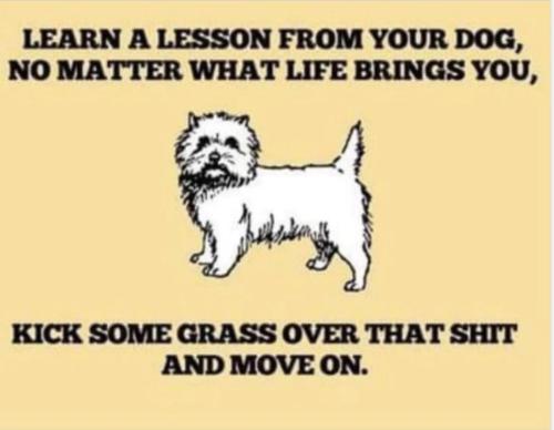 kick-some-grass-over-it