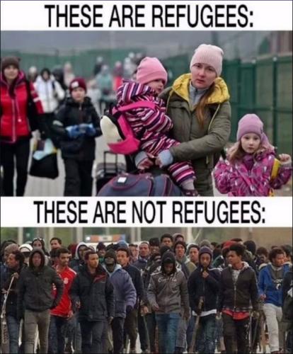 refugees00