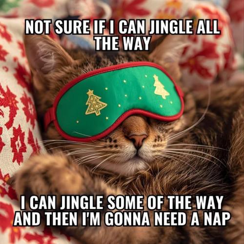 2c87741f98de152b7b772a1314d3095c