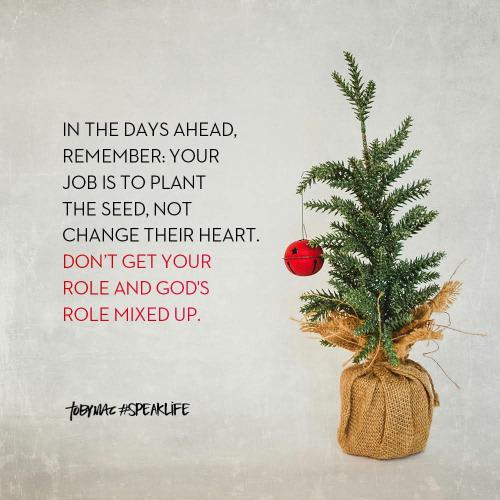 ed5dab93-ec9d-465b-8436-70a585414248-1_all_12587