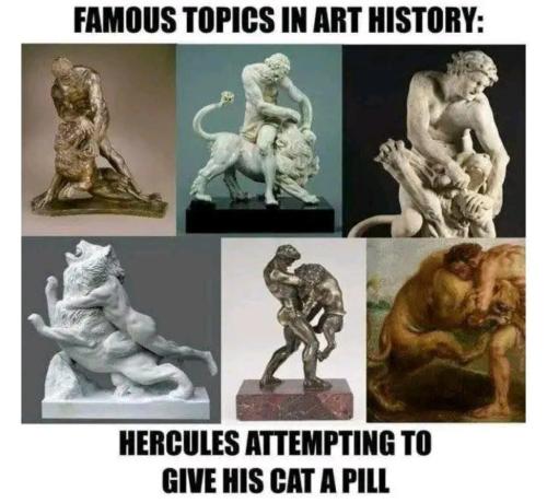 image_9E7FDB0A-9AD3-478F-AE3D-3C6128698474