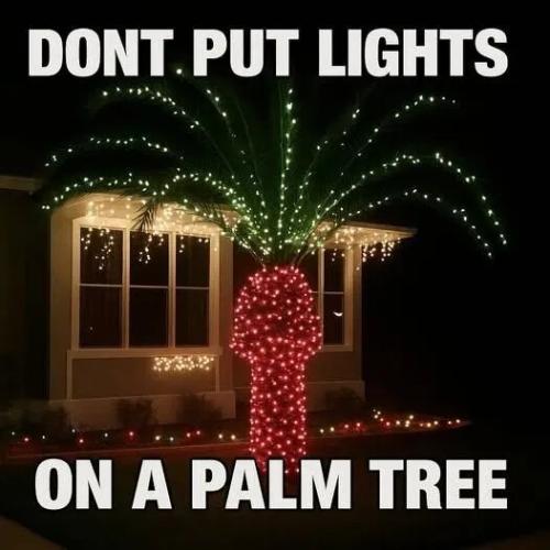 f07aecfd1ea7160362adb2b1390d02f0