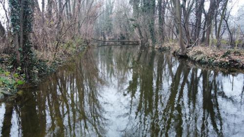 dji_fly_20251130_150830_693_1764512296555_photo_optimized