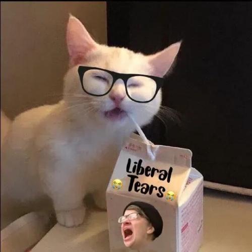 TESTHUB_photos_users_KPBY8Tc46ldqLjWXf6bqxqOW3AR2_-OfFFVmk2jfcjsxItcZ4_img_rsz__1100x1100