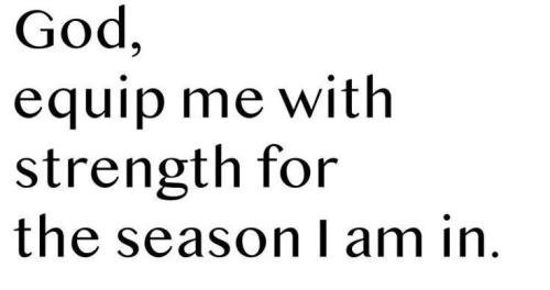 IMG_20251228_112649_425