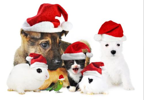 Screenshot_20251225-145658~2