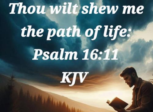 3bb208a5-2b6a-4988-a142-97d6089021f8