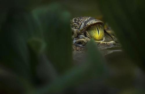 RDT_20251210_1413425881958286766058836