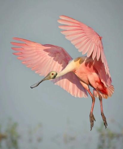 RDT_20251216_1822013698107337156679690