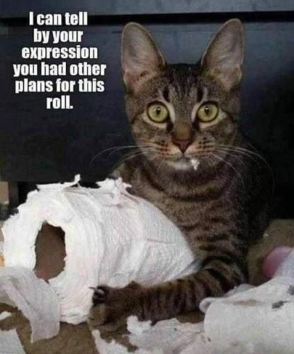 016438dfbe690138da1defd4a5960dd4