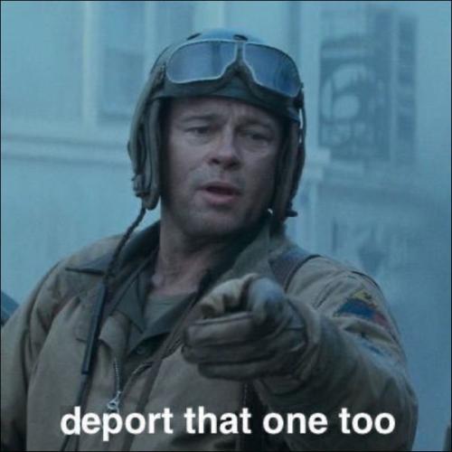 illegal immigration528