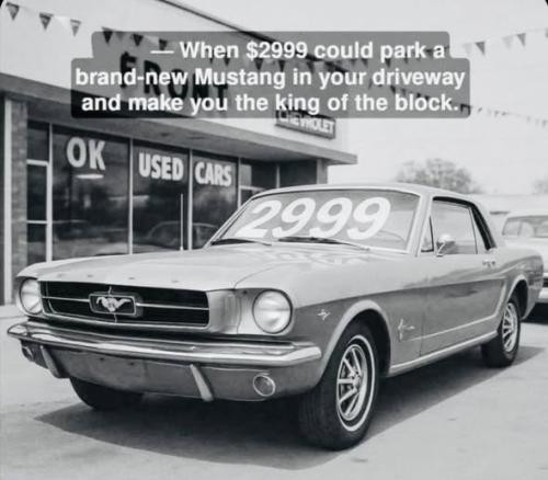 602363033_10240329368307890_1001338053826612636_n