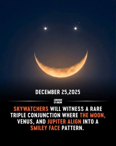 IMG_20251224_032205_833