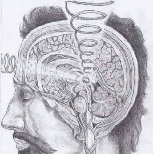 ,       ,        423193798_7468111