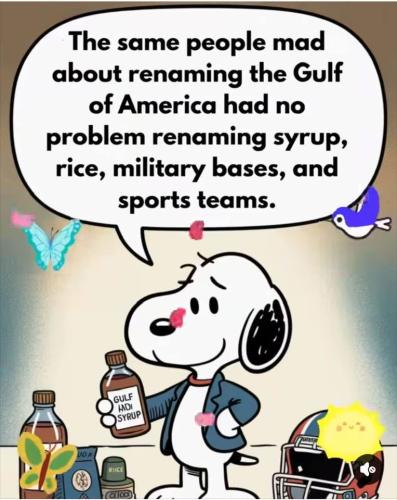 C88B3B3F-6B46-4DB0-8818-579D493C818B-51909-00001951090856DA