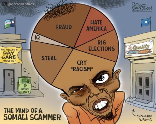 ben garrison minnesota fraud