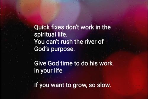 46c5a5b2-795d-4d50-93fc-0b3566dd7464