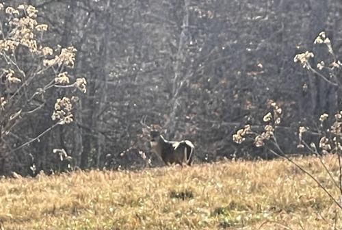 CB6B36A4-6BAB-4538-9DF5-9ACD1F917394