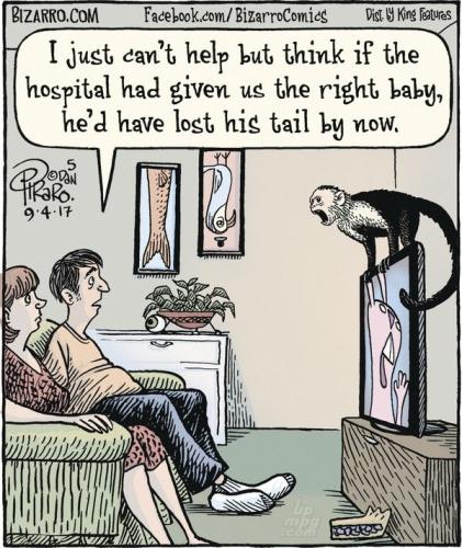 main-qimg-dbbbf3ca60e981cf8e94a8933e041ec4