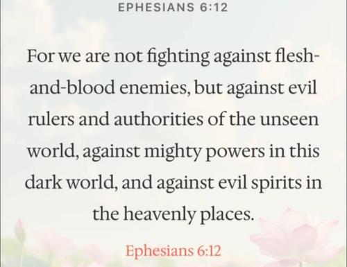 IMG_20251218_171839_689