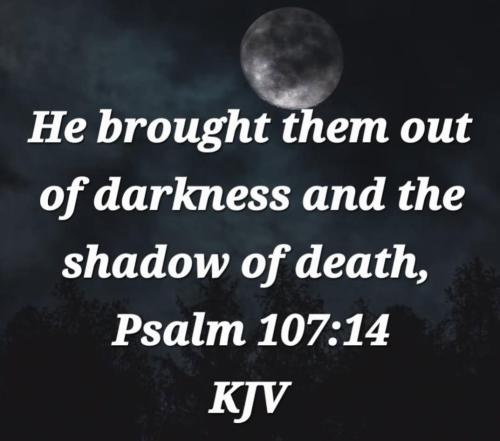 a9e516d2-59a2-4b9d-88e7-1458207c55a1