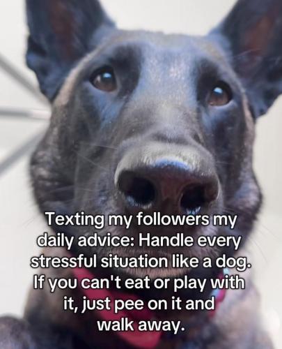 d7b9a673-7e69-44eb-a9c1-99d6fcf798eb