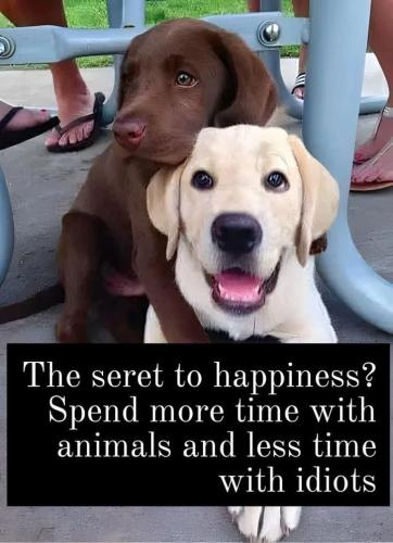 0287371da63e270ef49c13df0d08f309