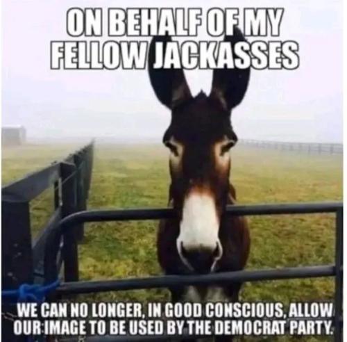 17645512855187152465518622444639_291650659389679