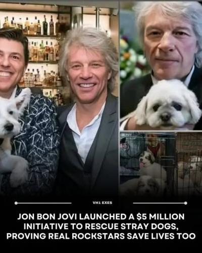 bonjovi