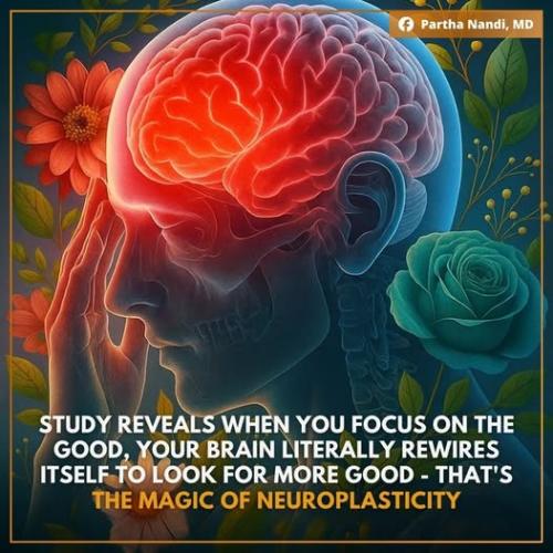 ,      ,             BdX7M1JO