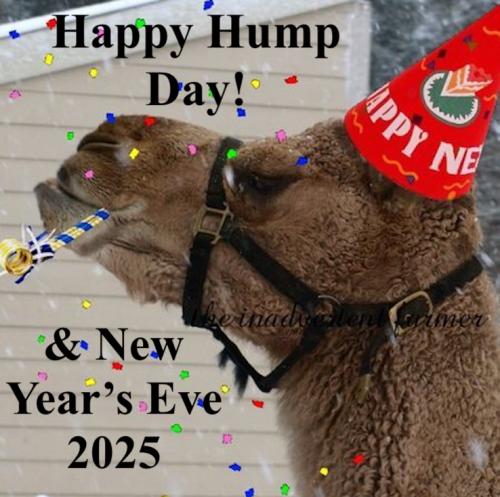 1-Hump Day & New Year's Eve 2025