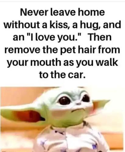 remove-pet-hair-from-mouth