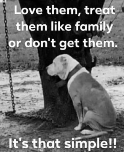 7aa5d136ad7300fc9c0ff32ce77af1b3