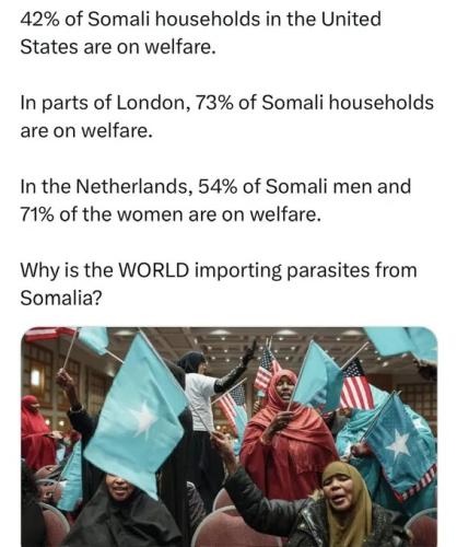WHY is the world importing PARASITES FROM SOMALIA AND OTHER PISLAMIC NATIONS !!!
