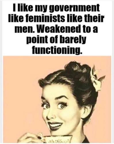 like-govt-same-as-feminists-like-men