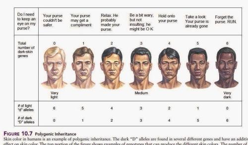 IMG_20251206_165546_040