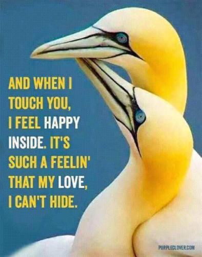 594977784_2933551890165945_5421571490776500496_n