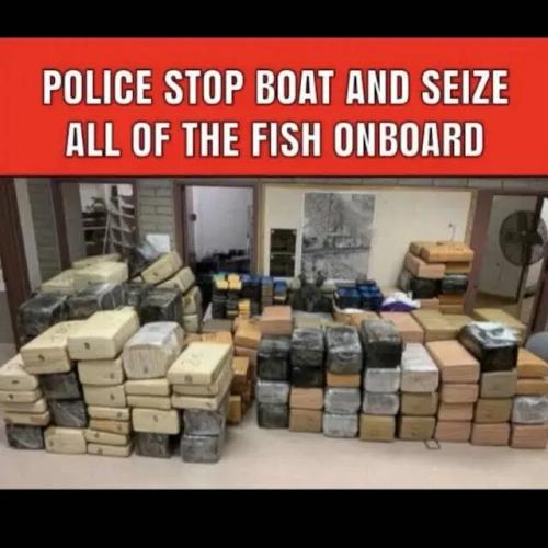 police-seize-fish
