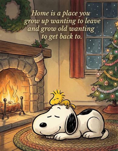 e729e7017cfffc95fa36e6fb8c8d2246