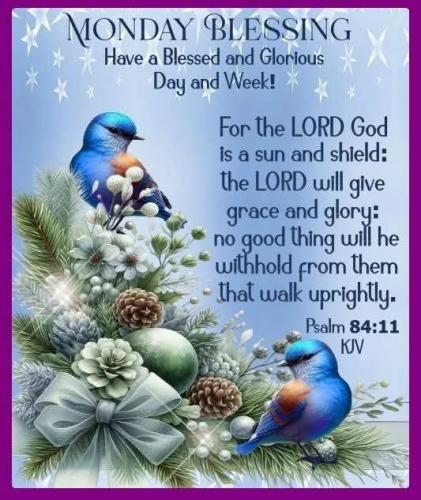 604423130_1274126081415392_8465929940698266610_n