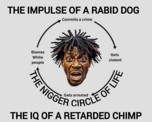 IMG_20251213_144312_585