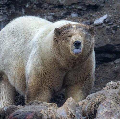 RDT_20251206_0129176900667855848242678